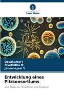 Entwicklung eines Pilzkonsortiums