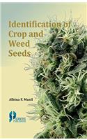 Identification of Crop and Weed Seeds