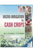 Micro-Irrigation For Cash Crops