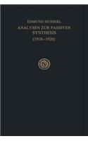 Analysen Zur Passiven Synthesis