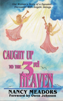 Caught Up to the 3rd Heaven: One Woman's Story of a Dynamic Encounter with Angelic Beings
