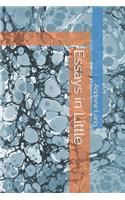 Essays in Little