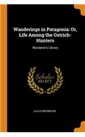 Wanderings in Patagonia: Or, Life Among the Ostrich-Hunters: Wanderer's Library