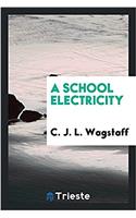 School Electricity