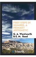 First Steps in Number: A Primary Arithmetic