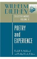 Wilhelm Dilthey: Selected Works, Volume V