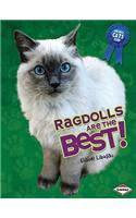 Ragdolls Are the Best!
