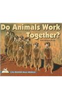 Do Animals Work Together?