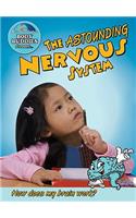 Astounding Nervous System: How Does My Brain Work?