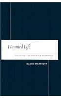 Haunted Life