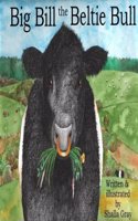 Big Bill the Beltie Bull