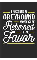 I Rescued a Greyhound and She Returned the Favor