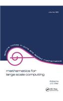 Mathematics for Large Scale Computing
