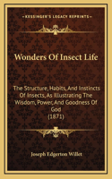 Wonders Of Insect Life