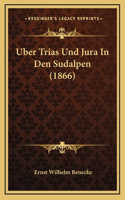Uber Trias Und Jura In Den Sudalpen (1866)
