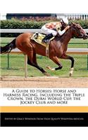 A Guide to Horses