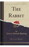 The Rabbit (Classic Reprint)