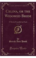 Celina, or the Widowed Bride, Vol. 2 of 3: A Novel; Founded on Facts (Classic Reprint)