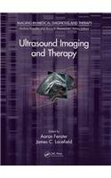 Ultrasound Imaging and Therapy