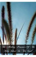 Abiding Presence Of The Holy Ghost In The Soul