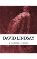 David LINDSAY, Collection novels