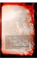 The Process That Is the World