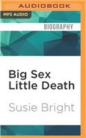 Big Sex Little Death