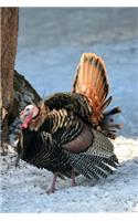 South Carolina State Game Bird - Wild Turkey Journal: 150 page lined notebook/diary