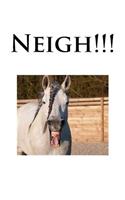 Neigh!!!