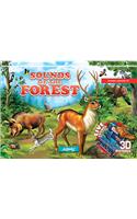 Sounds of the Forest