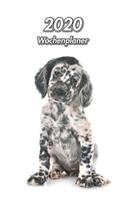 2020 Wochenplaner: English Setter Welpe - 107 Seiten, 15cm x 23cm ca. A5 - Taschenkalender - Terminplaner - Tagebuch - Terminkalender - Organizer für Hundeliebhaber