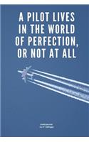 A pilot lives in the world of perfection, or not at all