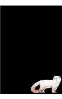 Himalayan Cat Journal