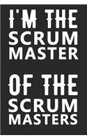 Scrum Master of Scrum Masters