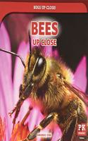 Bugs Up Close!: (Bugs Up Close!)