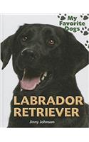 Labrador Retriever: (My Favorite Dogs)