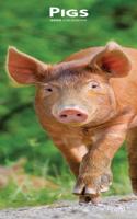 PIGS 2020 SLIM CALENDAR