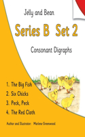 Jelly and Bean Series B Set 2: 13 (Jelly and Bean Reading Scheme)