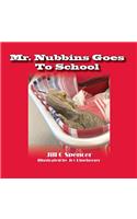 Mr. Nubbins Goes To School