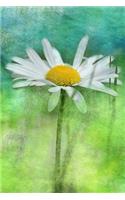 A White Daisy Watercolor Journal: 150 Page Lined Notebook/Diary