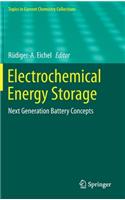 Electrochemical Energy Storage