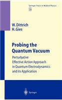 Probing the Quantum Vacuum