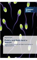 Protein and Sialic Acid in Sperms