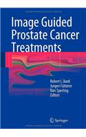 Image Guided Prostate Cancer Treatments