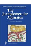 The Juxtaglomerular Apparatus