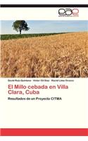 Millo Cebada En Villa Clara, Cuba