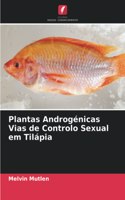 Plantas Androgénicas Vias de Controlo Sexual em Tilápia