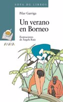 Un verano en Borneo / A Summer in Borneo