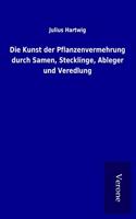 Die Kunst der Pflanzenvermehrung durch Samen, Stecklinge, Ableger und Veredlung