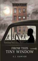 From This Tiny Window: Revised